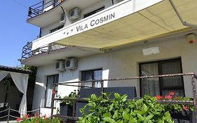 Vila Cosmin